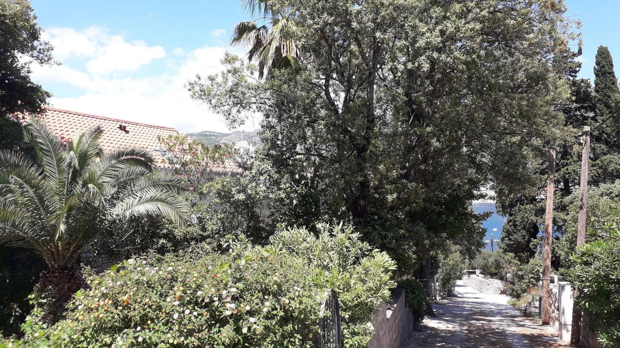 Apartments Marija - 50M From Beach Затон Экстерьер фото